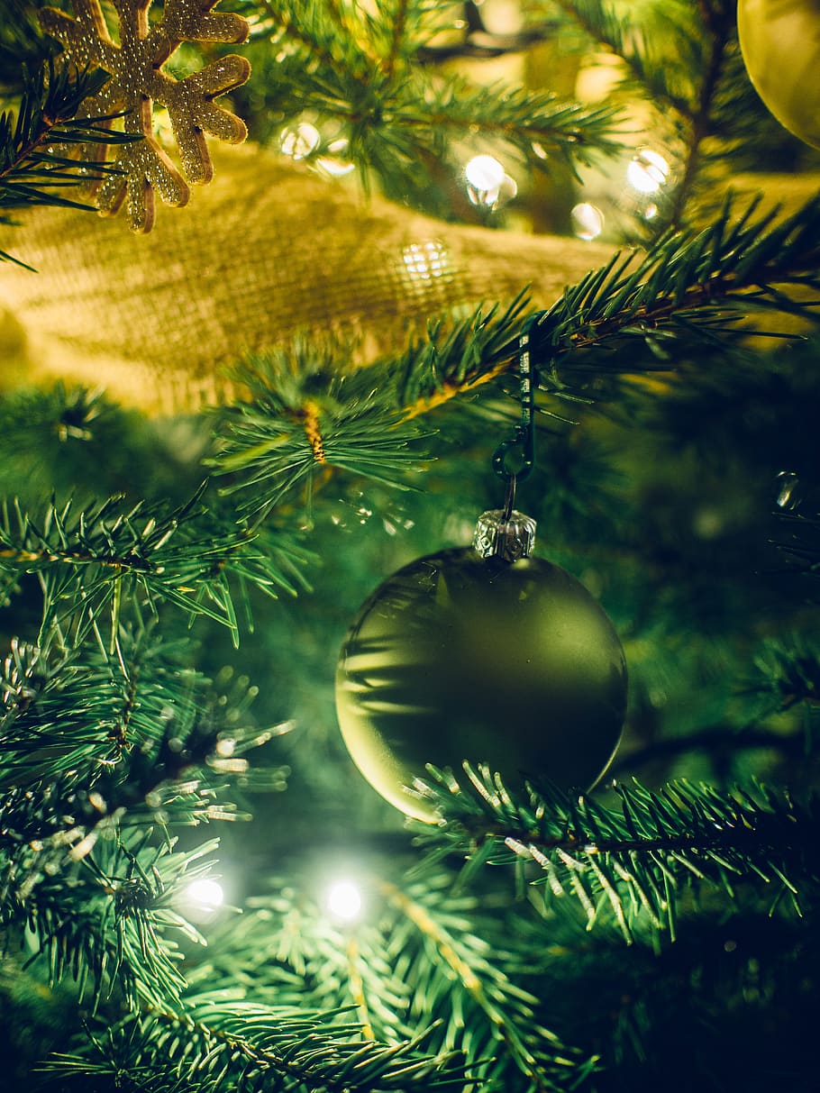 natal, pohon, lampu, dekorasi, ornamen, meriah, liburan, hari Natal, pohon Natal, dekorasi Natal
