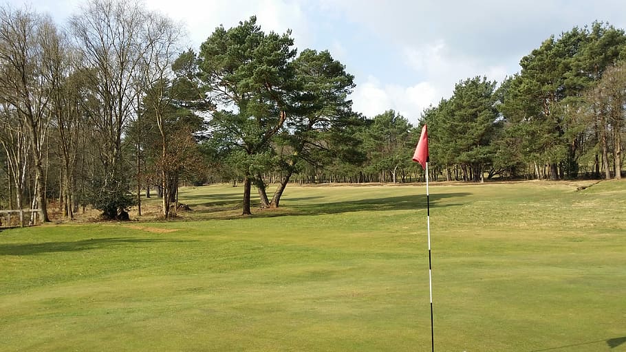 Golf, Course, Flag, Hole, Fairway, golf, course, golfing, tree, grass, green