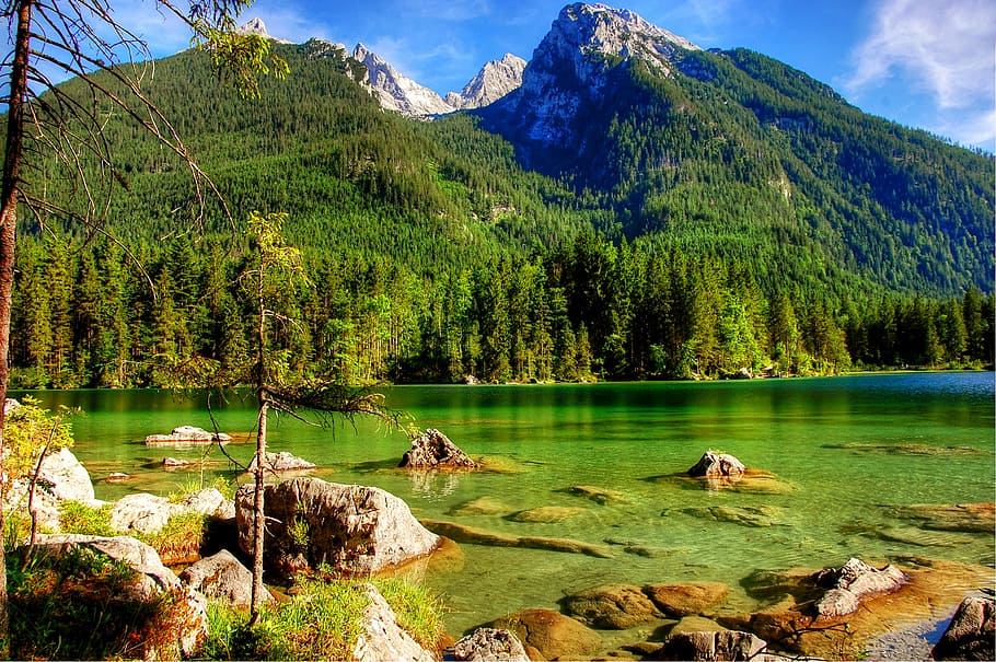 ramsau, hintersee, bavaria, upper bavaria, berchtesgaden, mountains, lake, berchtesgaden national park, forest, water