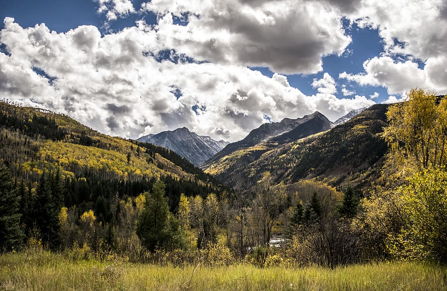 Colorado, Musim Gugur, Daun, Gunung, daun gugur, alam, aspen, hutan, warna-warni, pohon