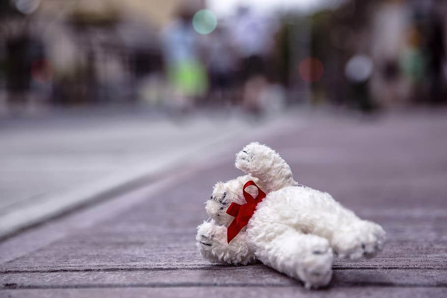 white, teddy, bear, road, on road, objects, lazy, toy, stuffed, animal