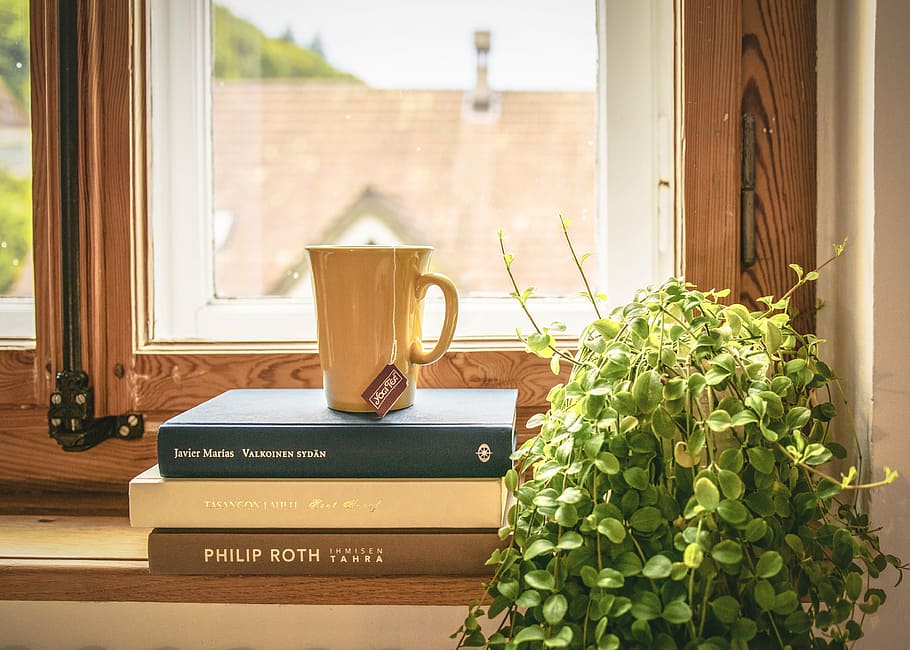 brown, ceramic, cup, book, read, tee, literature, window sill, houseplant, vintage