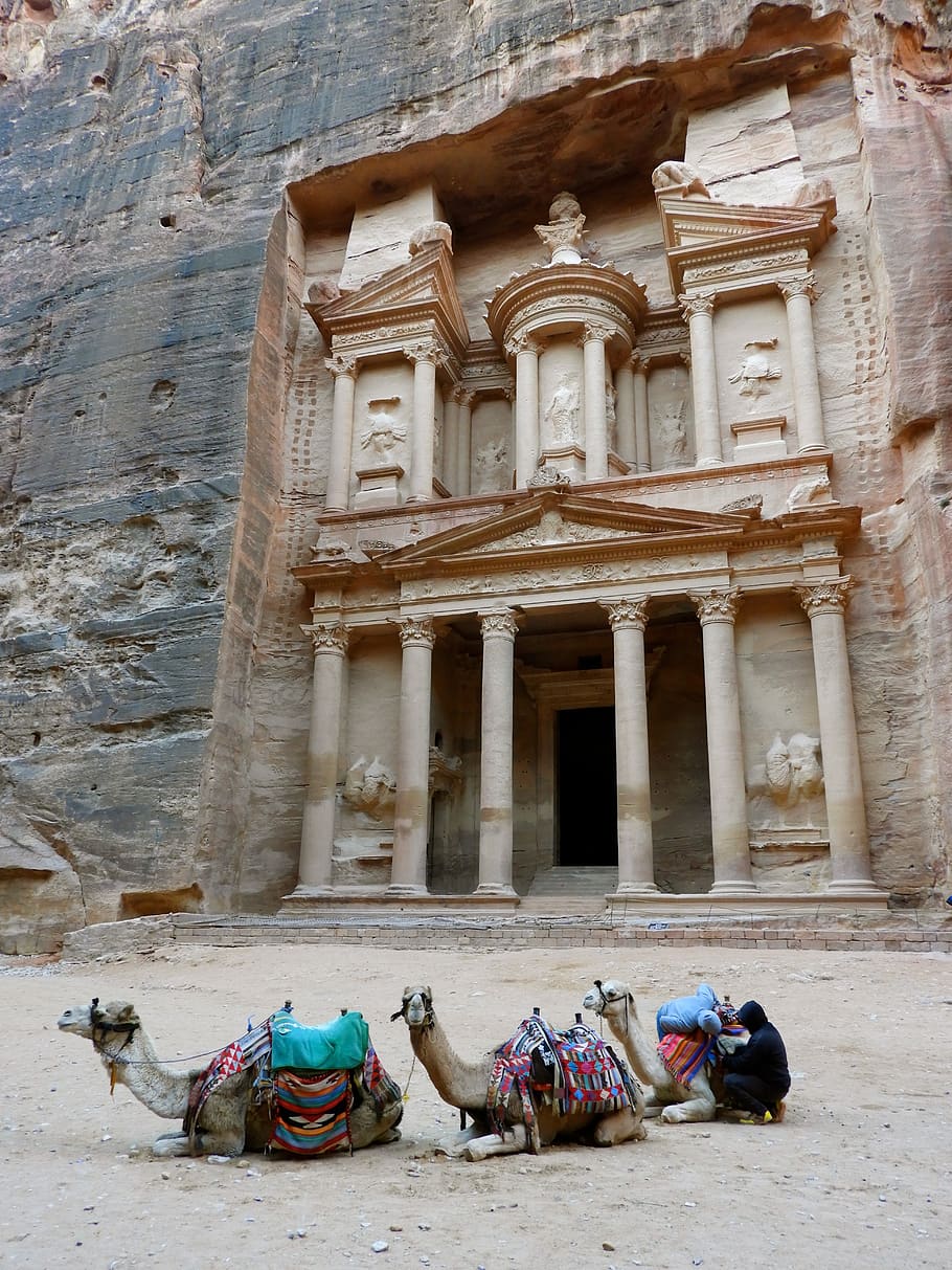 petra, jordan, camel, archeology, unesco, canyon, built structure, architecture, building exterior, history