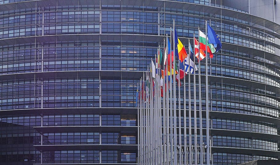 banderas de la nación, gris, postes, al lado, edificio, Parlamento Europeo, Estrasburgo, Banderas, bosque de banderas, UE