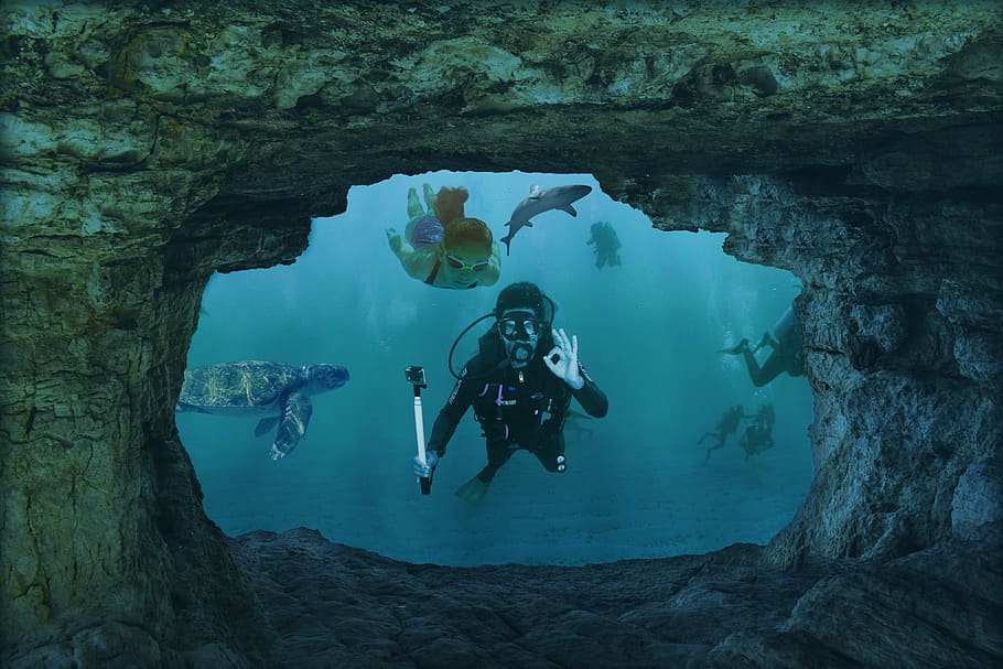mundo subaquático, mergulhadores, montagem, nadar, caverna, hai, menina, tartaruga, subaquático, turquesa
