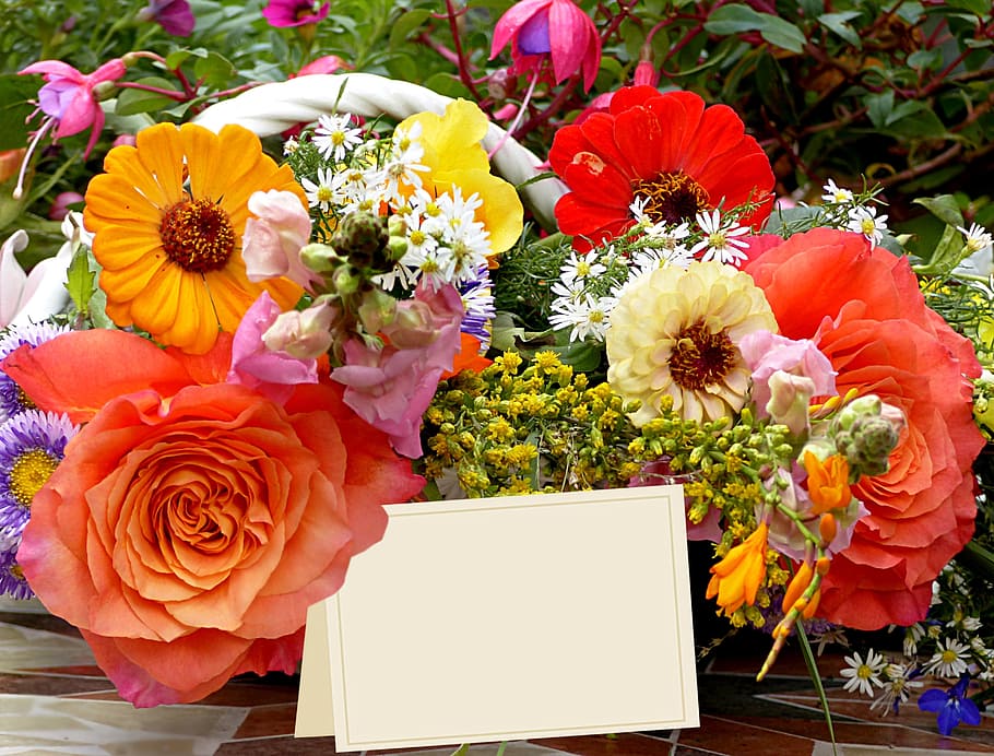 assorted-color flowers, flowers, colorful, bouquet, greeting card, greeting, text, flowering plant, flower, plant