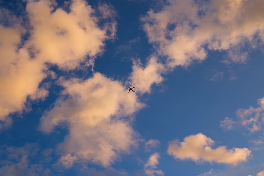 pesawat di udara, pesawat, udara, biru, awan, langit, perjalanan, pandangan sudut rendah, awan - langit, keindahan di alam