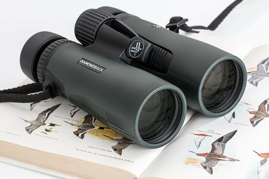 black, range finder, top, book, binoculars, birdwatching, spy ...