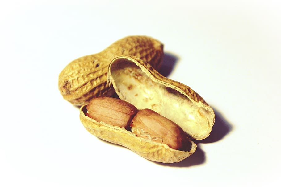 peanut sed, peanuts, nuts, snack, nutrition, healthy, nibble, decoration, close, knabberzeug