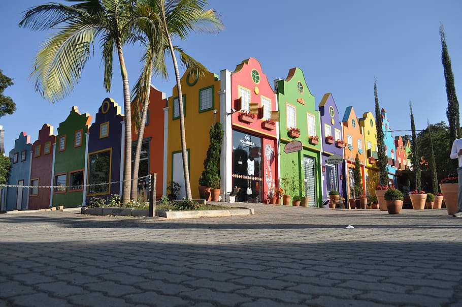 cores, cidade de holambra, centro, são paulo, arquitetura, exterior do edifício, estrutura construída, palmeira, árvore, céu