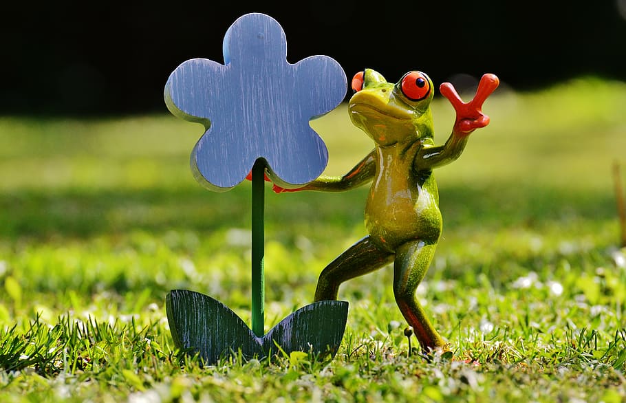 frog, flower, funny, sweet, cute, affection, gift, greeting, fun, animal representation