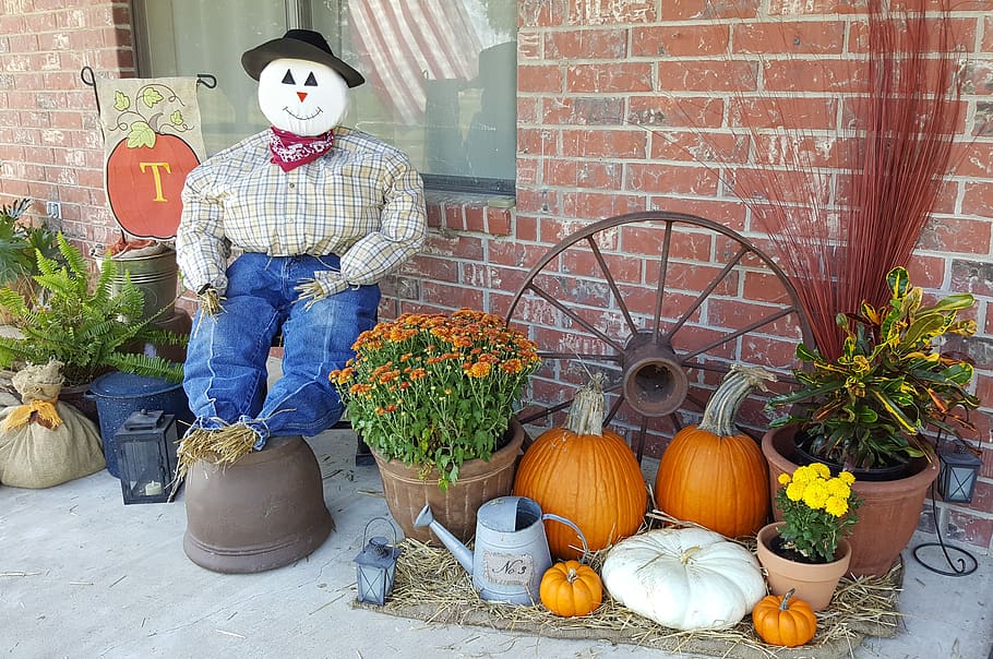 scarecrow, fall, autumn, pumpkin, decoration, orange, curb appeal, representation, plant, potted plant