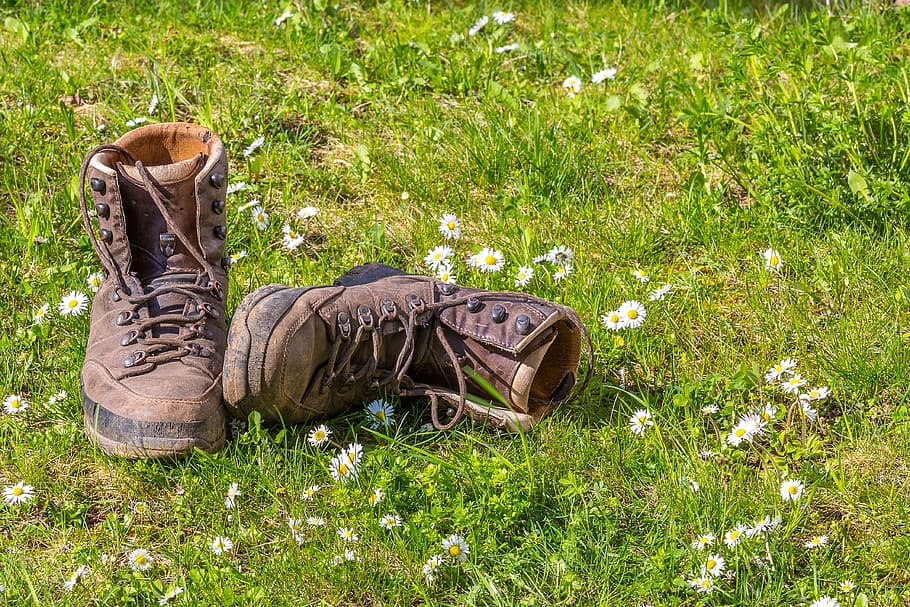 par, marrón, botas de cuero, verde, campo de hierba, senderismo, zapatos, naturaleza, zapatos de senderismo, caminata