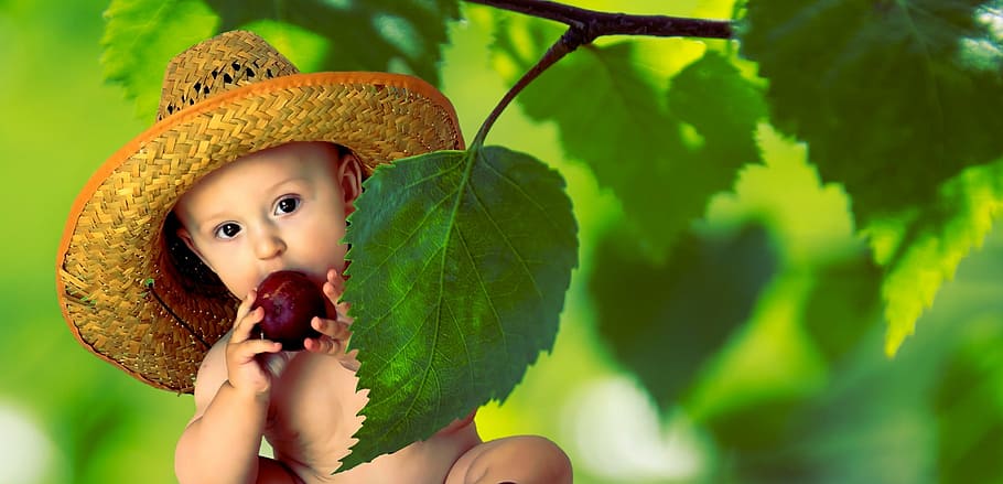 baby, wearing, straw hat, eating, fruit, summer, vitamins, nutrition, child, healthy
