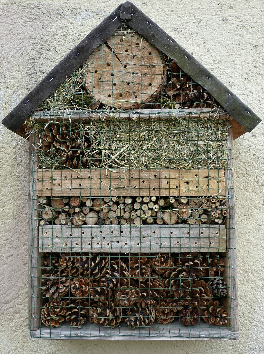 insect house, Insect Hotel, House, nesting and wintering help, abundance, large group of objects, food and drink, day, outdoors, wood - material