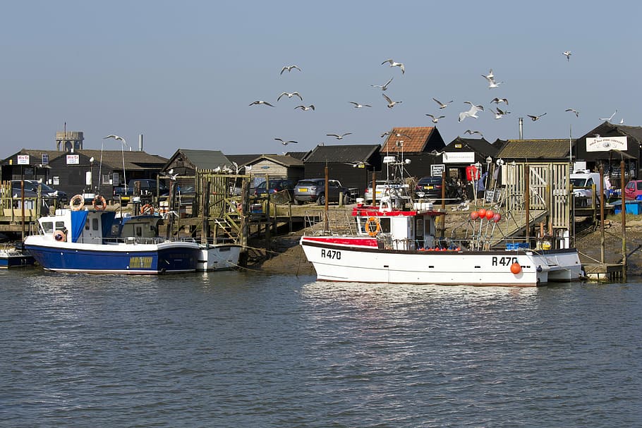 Southwold Harbour, Suffolk, barcos de pesca, aves marinas, cobertizos de madera negra, café, chandlers, torre de agua, mar, agua
