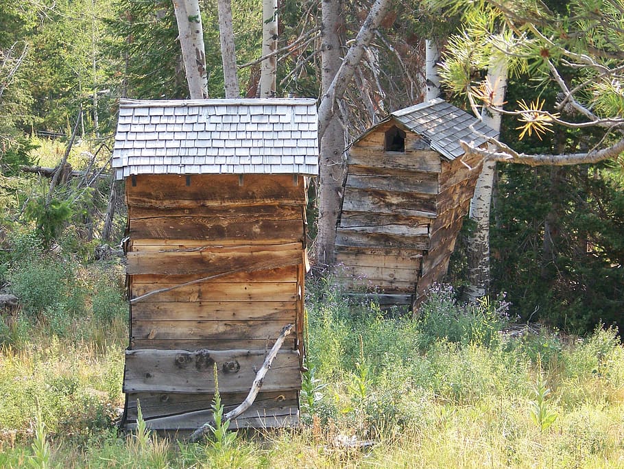 shack, outhouse, rustic, wooden, shed, weathered, wood - Material, nature, beehive, rural Scene