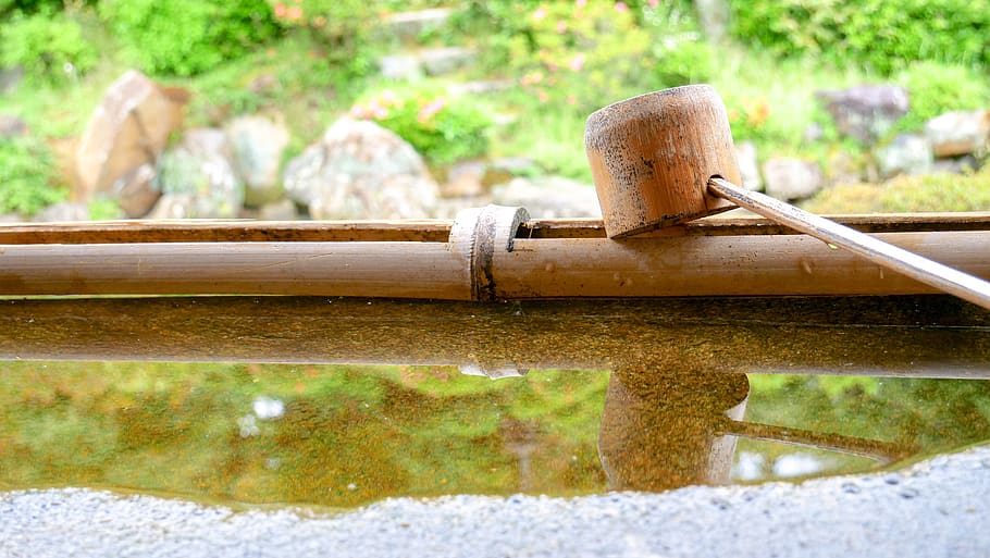 kyoto, japan garden, japan culture, nature, water, day, metal, wood - material, focus on foreground, outdoors