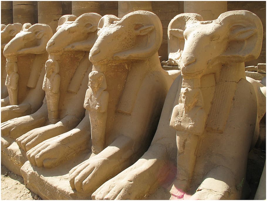 estatua de la esfinge, dispuesta, en consecuencia, suelo, egipto, luxor, faraónico, templo, nilo, karnak
