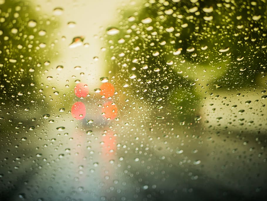 glass panel, water droplets, raindrop, rain, beaded, wet, glass, run off, window pane, weather