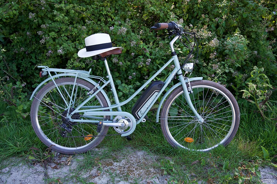 bicicleta, bicicleta eléctrica, rompe sombrero, transporte, vehículo terrestre, planta, modo de transporte, estacionaria, día, árbol