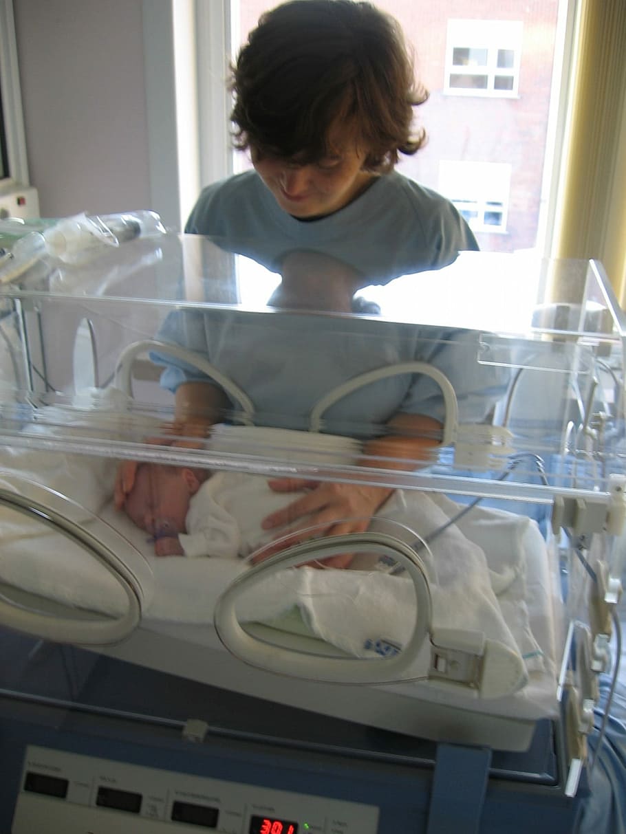 mulher, tocando, recém-nascido, bebê, bebê recém-nascido, incubadora, mamãe, hospital, prematuro, amor