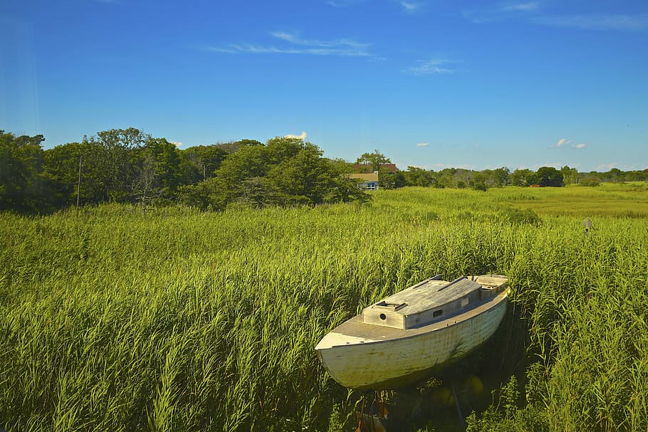 brown, boat, green, grass, nature, landscape, trees, leaves, clouds, sky