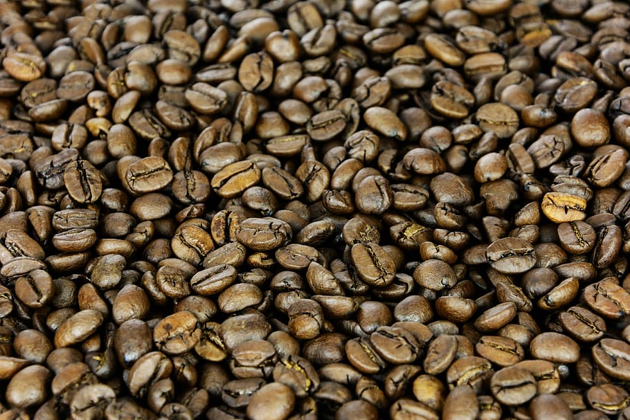 coffee beans, grain coffee, the background, seed, coffee, the drink, aroma, brown, caffeine, fresh