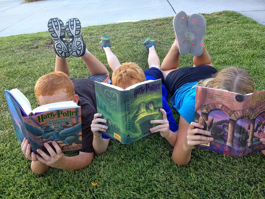 tiga, anak-anak, memegang, harry, buku potter, meletakkan, foto rumput, membaca, buku, anak