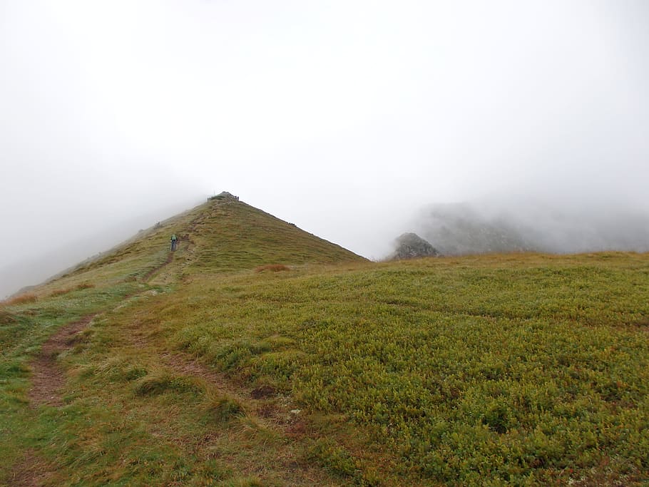 mountains, rotten men tauern, styria, austria, fog, alpine, hiking, environment, landscape, grass
