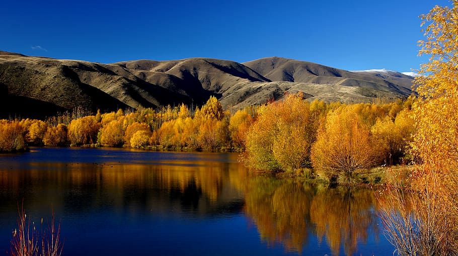 Autumn, Twizel, New Zealand, body of water, trees, sky, tranquility, plant, beauty in nature, tree