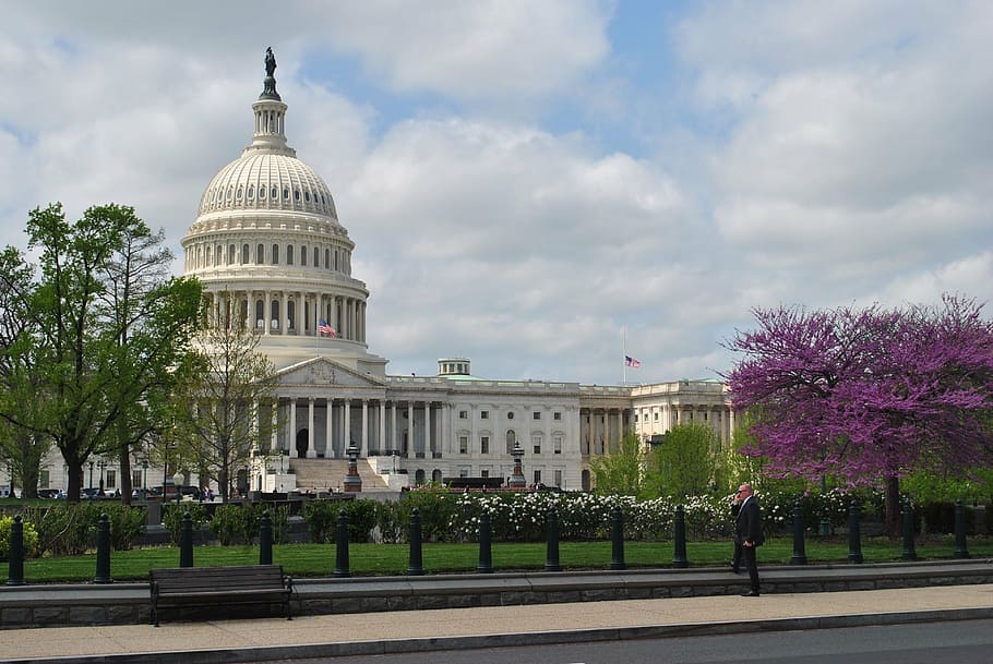 blanco, casa, capitolio estadounidense, edificio, arquitectura, nubes, primavera, Washington DC, gobierno, estados unidos