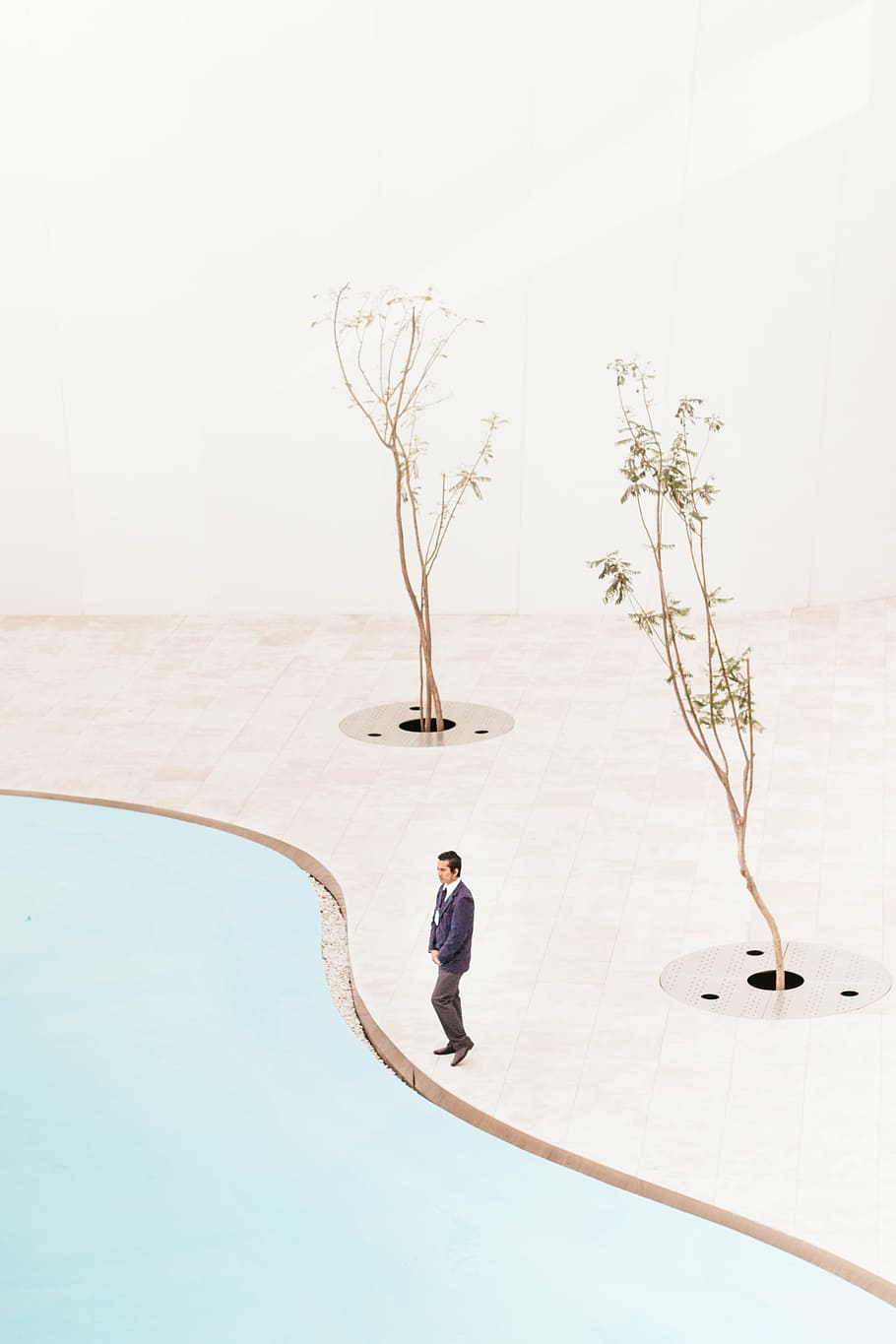 男, 立っている, 木, デジタル, 壁紙, 人々, 一人で, 植物, 自然, アウトドア