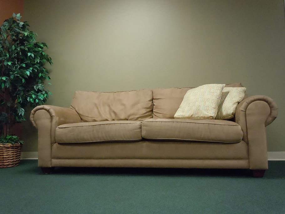 marrom, tecido sofá de 2 lugares, 2 lugares, dois, travesseiro, verde, folha, em vaso, planta, sofá