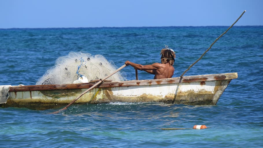 man rowing, white, boat, fisherman, fishing, fishing net, vessel, fishing boat, fishermen, beach