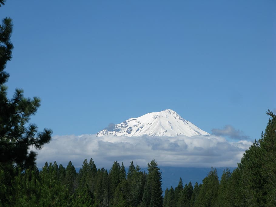 Mountain, Shasta, California, Nature, shasta, california, mount, peak, cascade, usa, wilderness