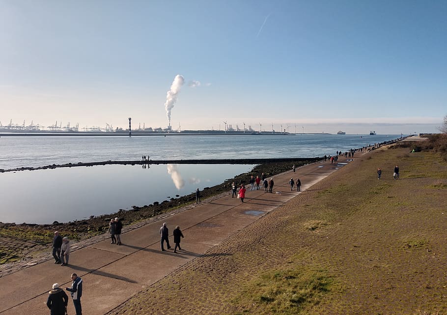 rotterdam, port, beach, north sea, sea, ship, water, tourists, autumn, hoek van holland