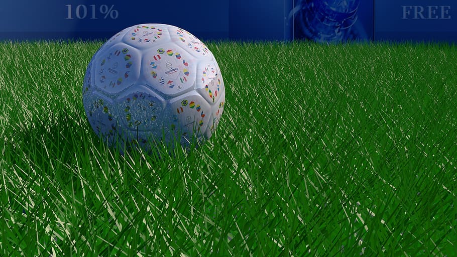 grass, ball, goal, green color, plant, sport, communication, team sport, nature, text