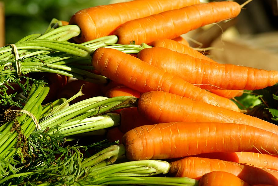 lote de zanahoria, verduras, zanahorias, huerta, mercado, vegetales, alimentos, frescura, orgánicos, zanahoria