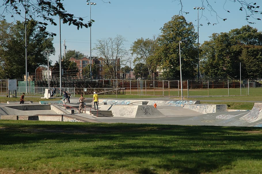 skate park, skate board, halifax, árboles, cemento, canadá, parque, planta, árbol, césped