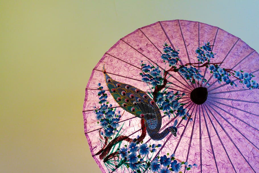 pink, blue, peacock painting print, floral, umbrella, thailand, japan, parasol, bangasa, peacock