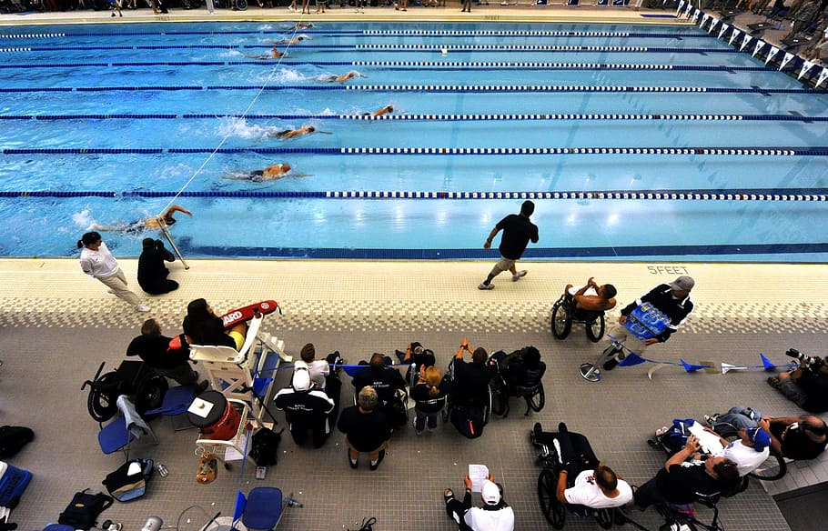 swimmers, racing, swimming, pool, colorado springs, colorado, swim meet, sports, water, inside