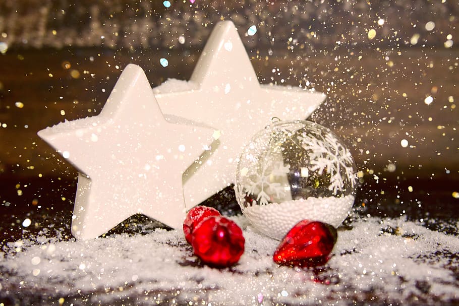 cinco adornos navideños, adviento, navidad, estrella, decoración, flor de pascua, fondo, tarjetas de felicitación, invierno, nieve