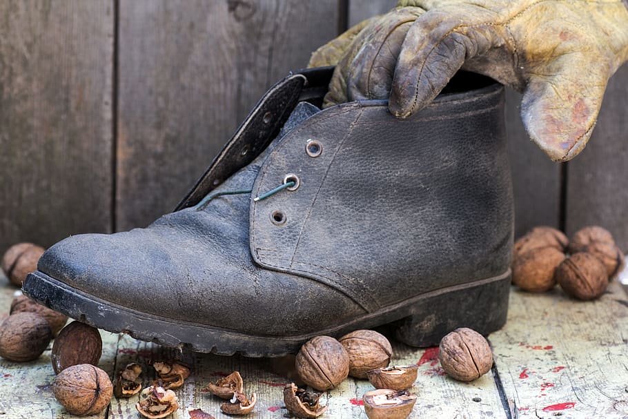 shoe, walnuts, wood, glove, walnut shells, close-up, day, animal, wood - material, focus on foreground