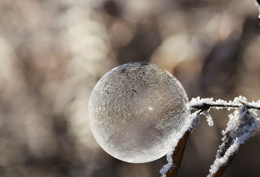 round, white, water droplet, bubble, soap bubble, ball, frost, winter, mood, beautiful