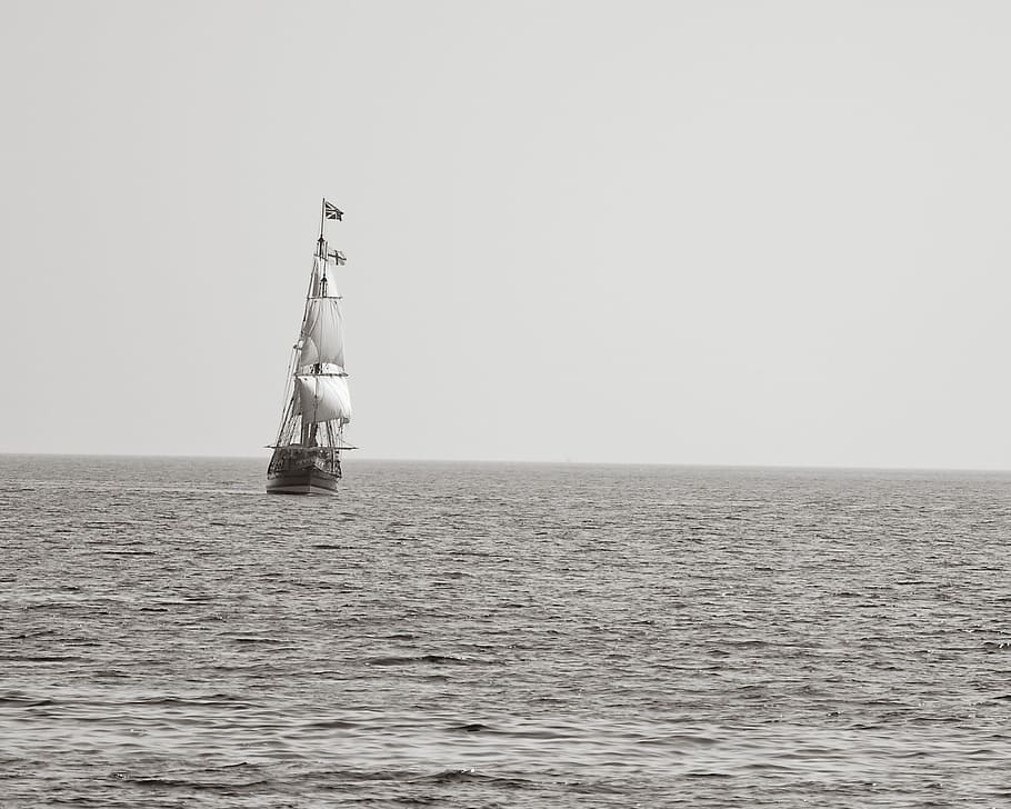 white, gray, galleon ship, body water, pirate ship, sailing ship, sailing, sea, water, ocean