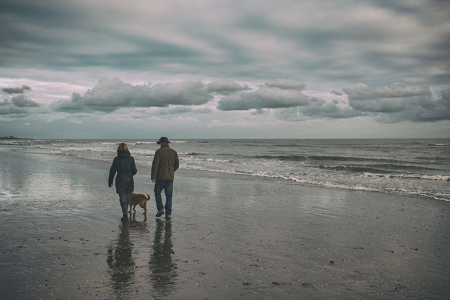 pasangan, berjalan, anjing, musim dingin, hari musim dingin, timur, sussex, hari, Camber Sands, Sussex Timur