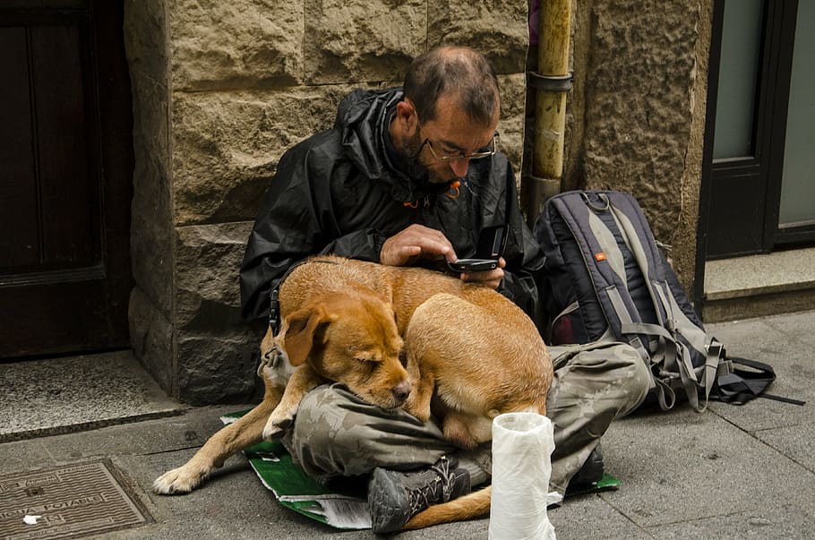man, black, jacket, dog, homeless, puppy, animal, pet, stray, portrait