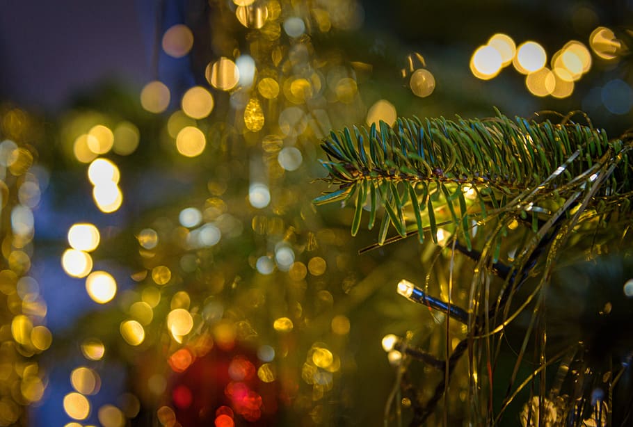 christmas, decoration, christbaumkugeln, lichterkette, lighting, december, red, christmas time, christmas background, background