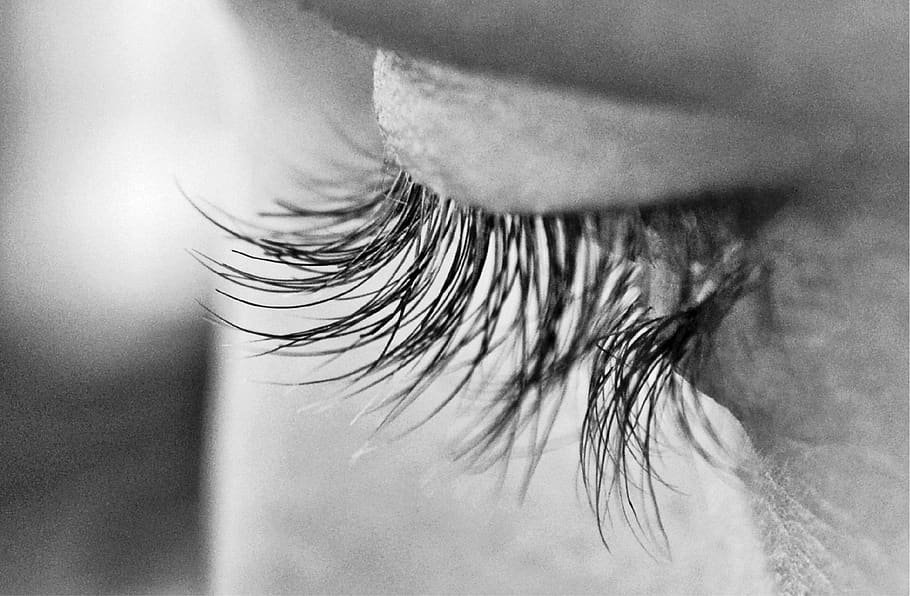 eye, lashes, macro, close up, person, black and white, cosmetics, makeup, detail, face